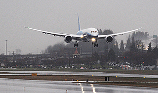 "Живопыркам" запретят возить пассажиров "Живопыркам" запретят возить пассажиров