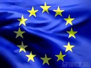 Аудиторы из Евросоюза проверят качество мясной продукции в Брянской области