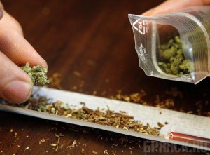 Работник УФСИН попался на торговле марихуаной