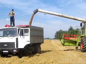 Уборочная страда завершилась на 36 процентов