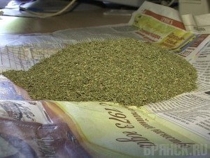 Группа наркоторговцев оказалась за решеткой