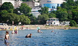 Как спастись от акулы-убийцы Как спастись от акулы-убийцы