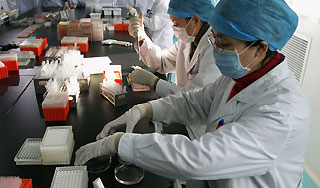 Ученые сделали из курицы динозавра Ученые сделали из курицы динозавра