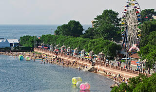 У Владивостока кружит стая крупных акул У Владивостока кружит стая крупных акул