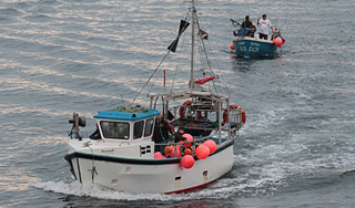 На отлов акулы-людоеда направляют суда На отлов акулы-людоеда направляют суда