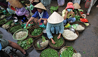 Китайцы покупают себе жен во Вьетнаме Китайцы покупают себе жен во Вьетнаме