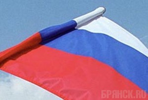 В День Государственного флага брянцам подарили ленточки и флажки
