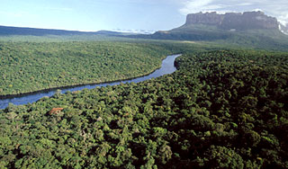 В Америке открыли еще одну Амазонку В Америке открыли еще одну Амазонку