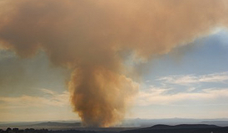 Над Петербургом возник громадный гриб Над Петербургом возник громадный гриб