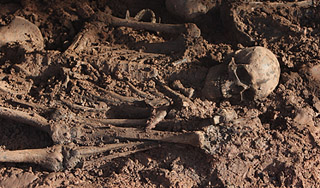 В Подмосковье нашли человеческие останки В Подмосковье нашли человеческие останки