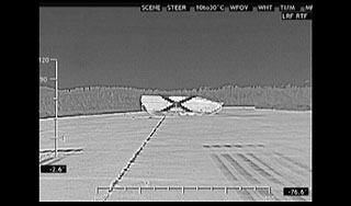 Танки научили маскироваться под коров Танки научили маскироваться под коров