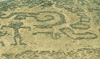 В лесу на Урале найден гигантский рисунок В лесу на Урале найден гигантский рисунок