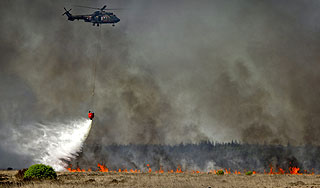 Пожары уничтожили тысячу домов в Техасе Пожары уничтожили тысячу домов в Техасе