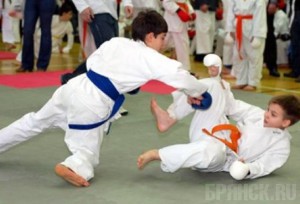 Брянцы отправились на Всероссийские юношеские Игры боевых искусств