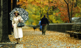 Бабье лето отменяется Бабье лето отменяется