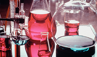 Кишечная палочка помогла зашифровать текст Кишечная палочка помогла зашифровать текст