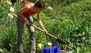 Летний отпуск разочаровал россиян Летний отпуск разочаровал россиян