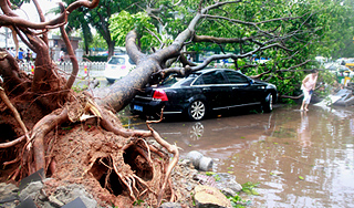 Tайфун "Несат" обрушился на Китай Tайфун "Несат" обрушился на Китай