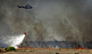 В Братске ловят виновых в лесных пожарах В Братске ловят виновых в лесных пожарах
