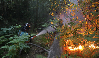 В Братске назначили награду за поджигателей В Братске назначили награду за поджигателей