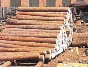 На скамье подсудимых оказалась мастер, по вине которой пострадала работница