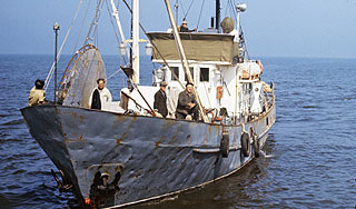 В Японии арестован русский капитан В Японии арестован русский капитан