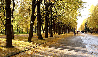 В Москву возвращаются +20 В Москву возвращаются +20