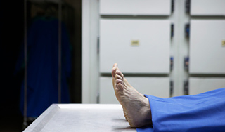 Приставы опечатали морг с трупом внутри Приставы опечатали морг с трупом внутри