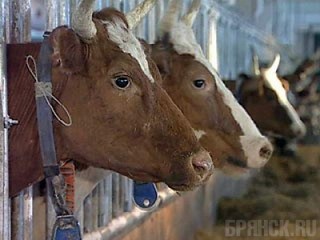 В сельском хозяйстве намерены перераспределить расходы