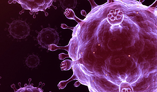 У берегов Чили обнаружен гигантский вирус У берегов Чили обнаружен гигантский вирус