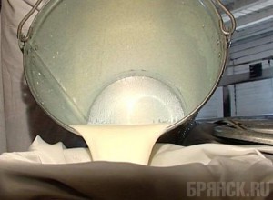 В ТнВ «Сыр Стародубский» обнаружили нарушения закона