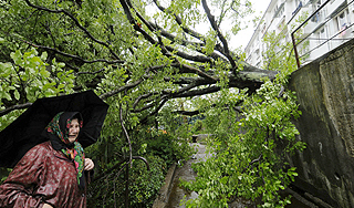 В Сочи ветер валил деревья и снес крышу В Сочи ветер валил деревья и снес крышу