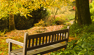 В Москву вернулось солнце и тепло В Москву вернулось солнце и тепло