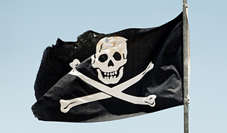 В Петербурге снова повесили череп с костями В Петербурге снова повесили череп с костями