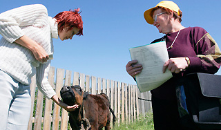 За переезд в село дадут миллион рублей За переезд в село дадут миллион рублей