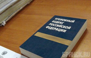 Будут судить супругов, устроивших в Брянском районе кровавую резню