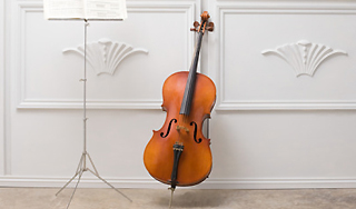 Бездомный украл виолончель за миллион Бездомный украл виолончель за миллион