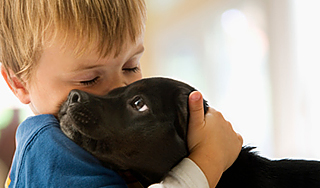 Детство среди животных укрепляет иммунитет Детство среди животных укрепляет иммунитет