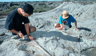 Ученые нашли белку из "Ледникового периода" Ученые нашли белку из "Ледникового периода"