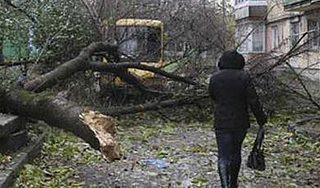 На Архангельск налетел ураган На Архангельск налетел ураган