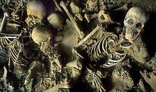 Дома у новгородца нашли 23 женских скелета Дома у новгородца нашли 23 женских скелета