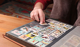 Названы самые любимые коллекции россиян Названы самые любимые коллекции россиян