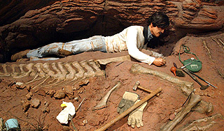 В Африке нашли самого кусачего медведя В Африке нашли самого кусачего медведя