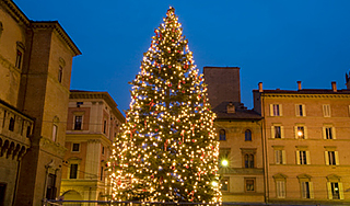 Москвичей заранее подготовят к Новому году Москвичей заранее подготовят к Новому году