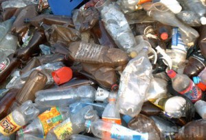 Инженера по благоустройству наказали за свалку в Брянском районе