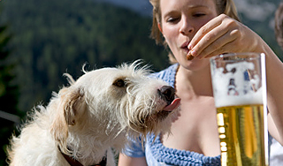 В США начали варить собачье пиво В США начали варить собачье пиво