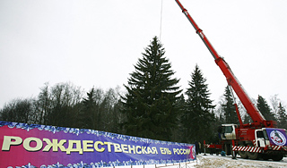 Какой будет главная новогодняя ель страны Какой будет главная новогодняя ель страны