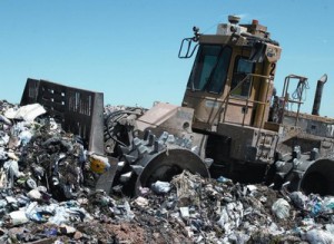 На борьбу с мусором потратили 174 миллиона рублей