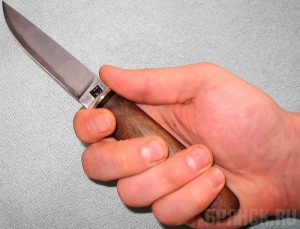 Бывшего ветеринара задержали по подозрению в убийстве приятеля