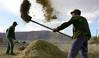 Россия предупредила Таджикистан Россия предупредила Таджикистан